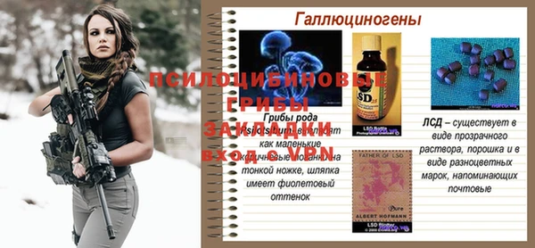 гашик Алагир