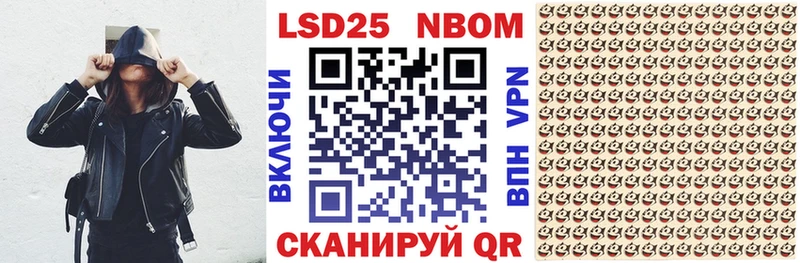 как найти   Ивангород  Марки N-bome 1,8мг 