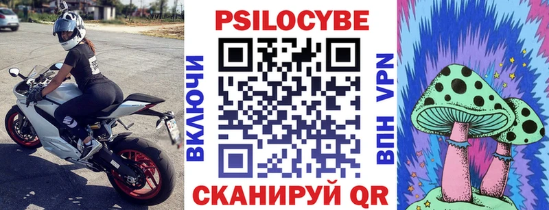 Псилоцибиновые грибы Psilocybine cubensis  Ивангород 