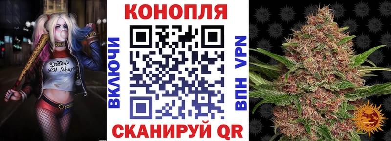 что такое   Ивангород  МАРИХУАНА ГИДРОПОН 